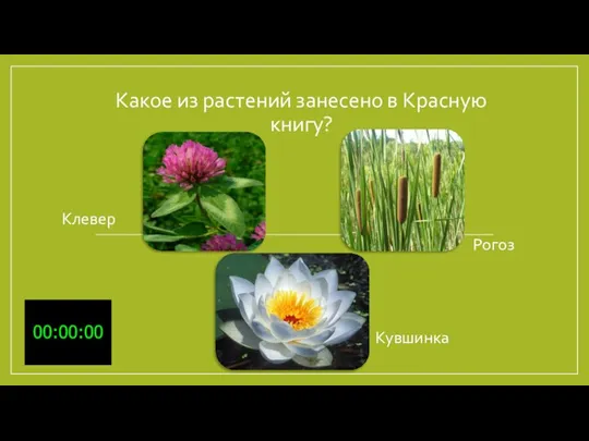 Какое из растений занесено в Красную книгу? Клевер Рогоз Кувшинка