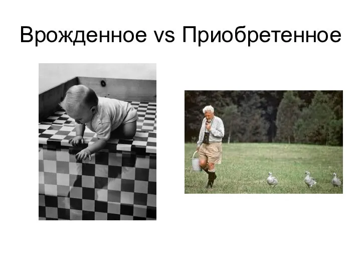 Врожденное vs Приобретенное