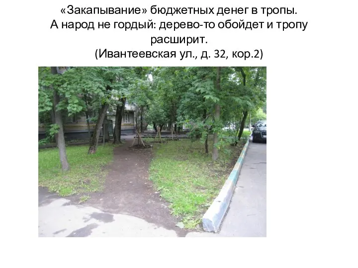 «Закапывание» бюджетных денег в тропы. А народ не гордый: дерево-то обойдет и