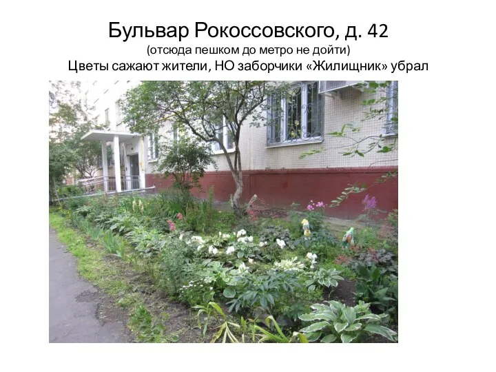 Бульвар Рокоссовского, д. 42 (отсюда пешком до метро не дойти) Цветы сажают