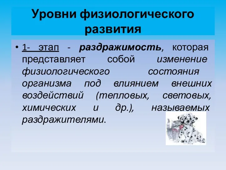 Уровни физиологического развития 1- этап - раздражимость, которая представляет собой изменение физиологического