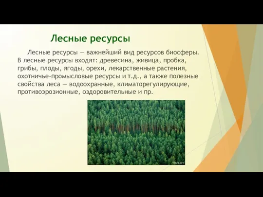 Лесные ресурсы Лесные ресурсы — важнейший вид ресурсов биосферы. В лесные ресурсы