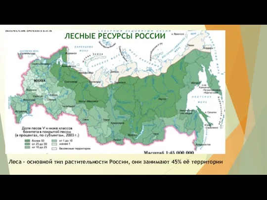 ЛЕСНЫЕ РЕСУРСЫ РОССИИ Леса – основной тип растительности России, они занимают 45% её территории
