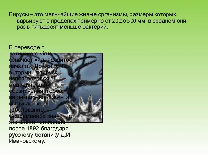Вирусы – это мельчайшие живые организмы, размеры которых варьируют в пределах примерно