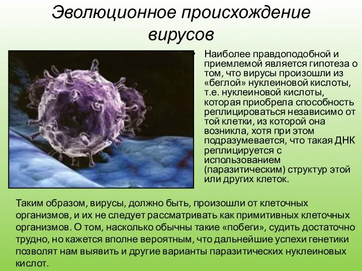 Эволюционное происхождение вирусов Наиболее правдоподобной и приемлемой является гипотеза о том, что
