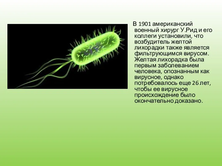 В 1901 американский военный хирург У.Рид и его коллеги установили, что возбудитель