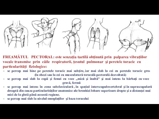 FREAMĂTUL PECTORAL: este senzaţia tactilă obţinută prin palparea vibraţiilor vocale transmise prin