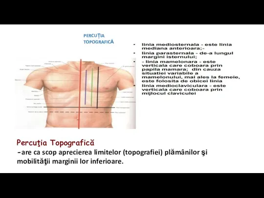 PERCUȚIA TOPOGRAFICĂ Percuţia Topografică -are ca scop aprecierea limitelor (topografiei) plămânilor şi mobilităţii marginii lor inferioare.