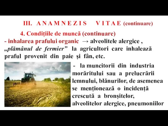 4. Condițiile de muncă (continuare) - inhalarea prafului organic → alveolitele alergice