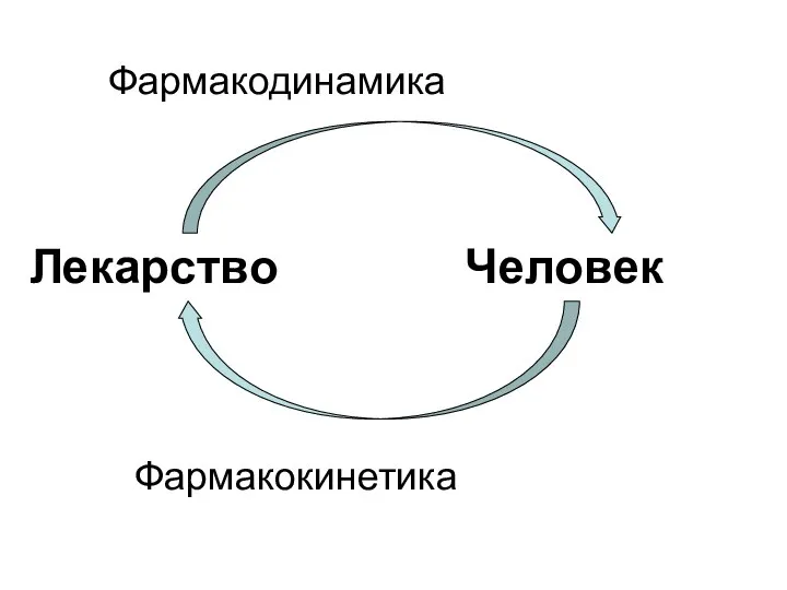 Фармакодинамика Лекарство Человек Фармакокинетика