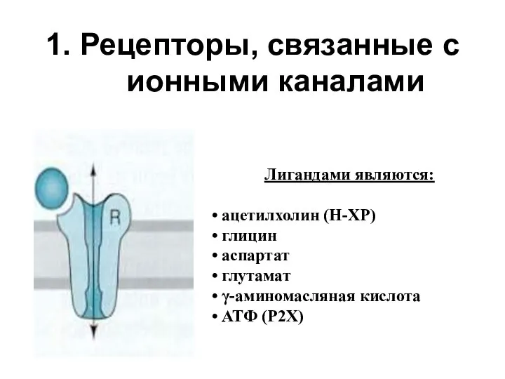 1. Рецепторы, связанные с ионными каналами Лигандами являются: ацетилхолин (Н-ХР) глицин аспартат