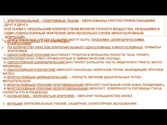 I. ЭПИТЕЛИАЛЬНЫЕ = ПОКРОВНЫЕ ТКАНИ – ОБРАЗОВАНЫ ПЛОТНО ПРИЛЕГАЮЩИМИ ДРУГ К ДРУГУ