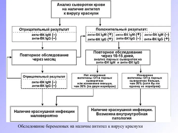 Обследование беременных на наличие антител к вирусу краснухи