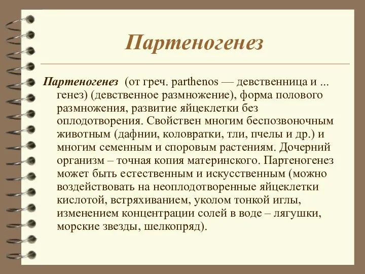 Партеногенез Партеногенез (от греч. parthenos — девственница и ...генез) (девственное размножение), форма