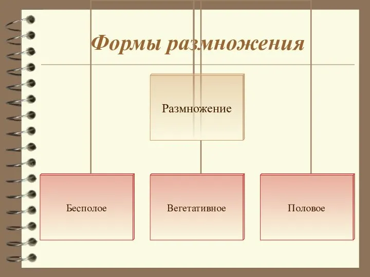 Формы размножения