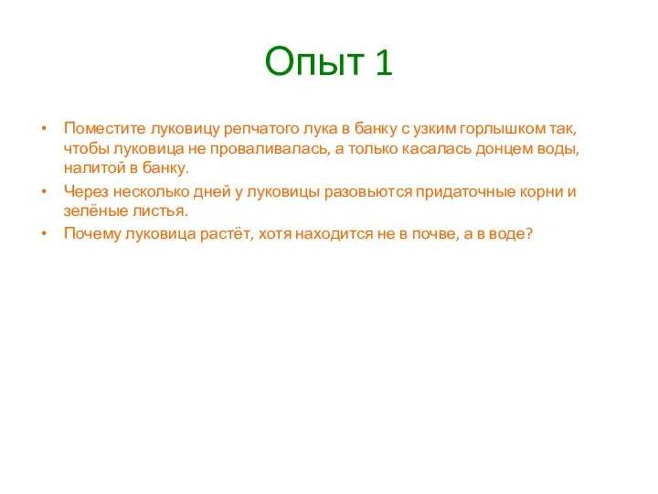 Опыт 1 Поместите луковицу репчатого лука в банку с узким горлышком так,