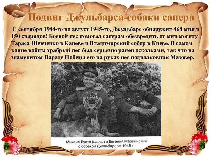 Подвиг Джульбарса-собаки сапера С сентября 1944-го по август 1945-го, Джульбарс обнаружил 468