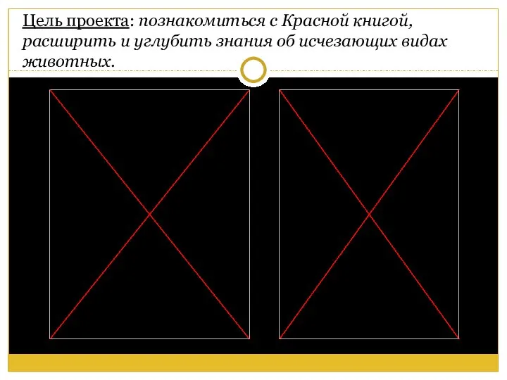 Цель проекта: познакомиться с Красной книгой, расширить и углубить знания об исчезающих видах животных.