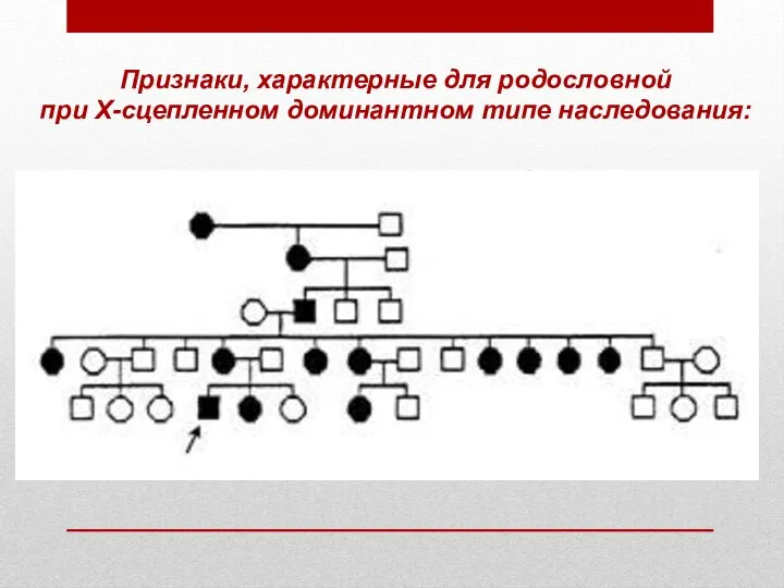 Признаки, характерные для родословной при Х-сцепленном доминантном типе наследования: