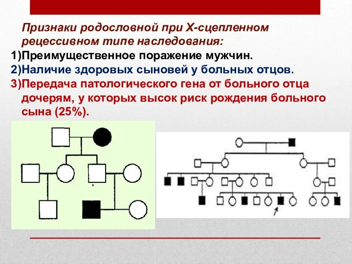 Признаки родословной при Х-сцепленном рецессивном типе наследования: Преимущественное поражение мужчин. Наличие здоровых