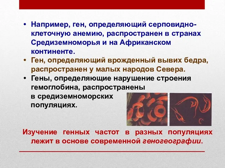 Например, ген, определяющий серповидно-клеточную анемию, распространен в странах Средиземноморья и на Африканском