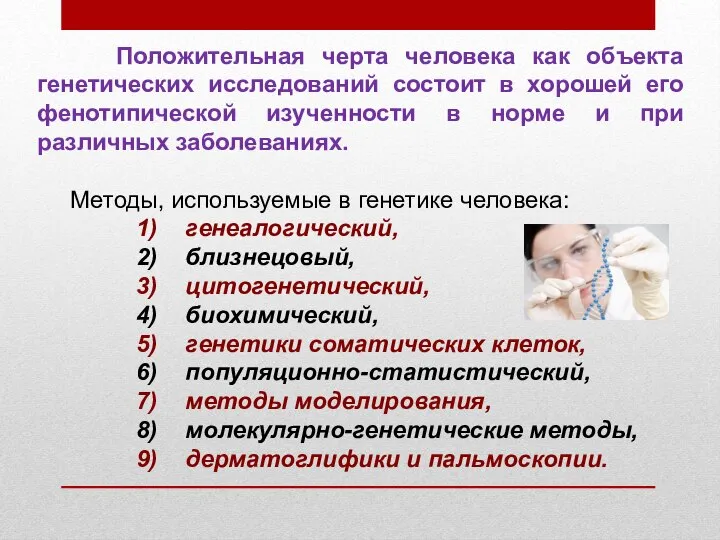 Положительная черта человека как объекта генетических исследований состоит в хорошей его фенотипической