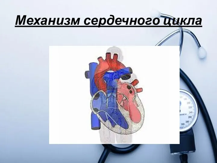 Механизм сердечного цикла