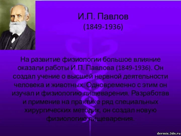 На развитие физиологии большое влияние оказали работы И.П. Павлова (1849-1936). Он создал