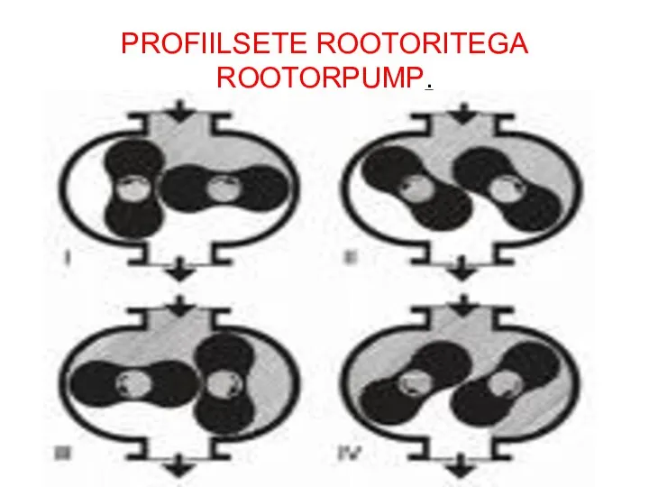 PROFIILSETE ROOTORITEGA ROOTORPUMP.