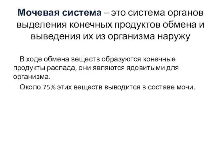 Мочевая система – это система органов выделения конечных продуктов обмена и выведения