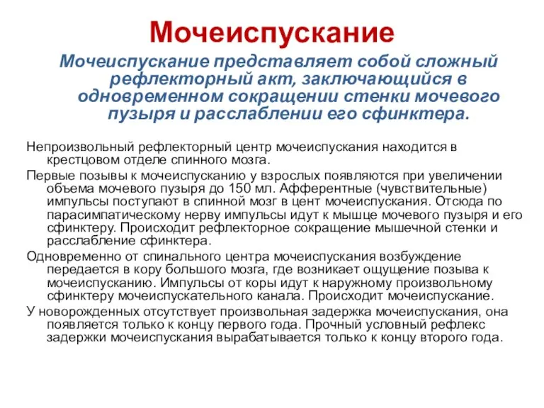 Мочеиспускание Мочеиспускание представляет собой сложный рефлекторный акт, заключающийся в одновременном сокращении стенки