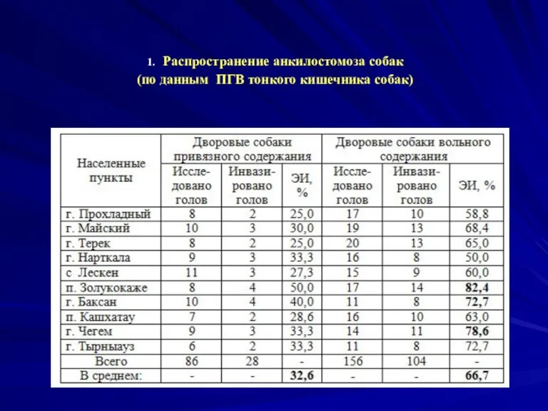 1. Распространение анкилостомоза собак (по данным ПГВ тонкого кишечника собак)