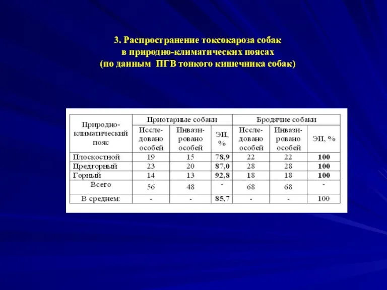 3. Распространение токсокароза собак в природно-климатических поясах (по данным ПГВ тонкого кишечника собак)