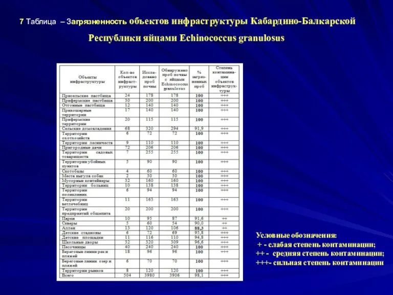 7 Таблица – Загрязненность объектов инфраструктуры Кабардино-Балкарской Республики яйцами Echinococcus granulosus Условные