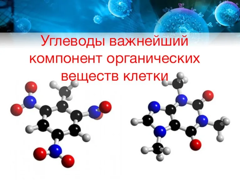 Углеводы важнейший компонент органических веществ клетки