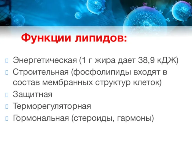 Функции липидов: Энергетическая (1 г жира дает 38,9 кДЖ) Строительная (фосфолипиды входят