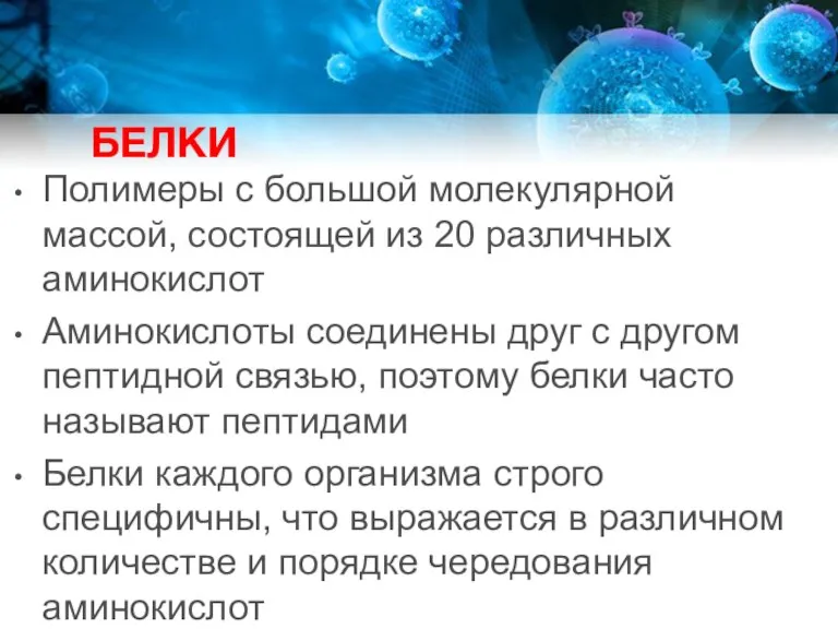 БЕЛКИ Полимеры с большой молекулярной массой, состоящей из 20 различных аминокислот Аминокислоты