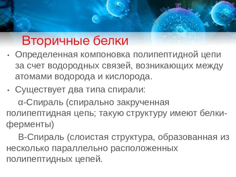 Вторичные белки Определенная компоновка полипептидной цепи за счет водородных связей, возникающих между