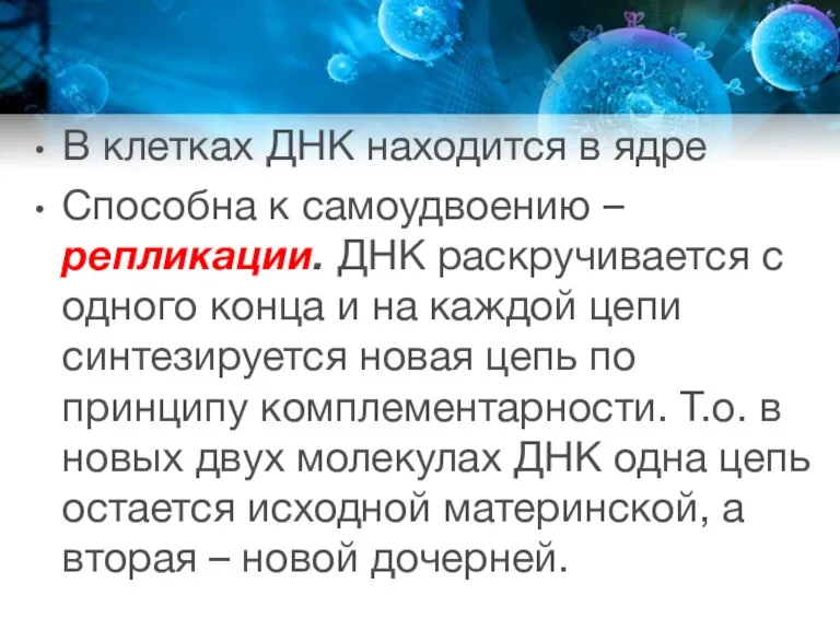 В клетках ДНК находится в ядре Способна к самоудвоению – репликации. ДНК