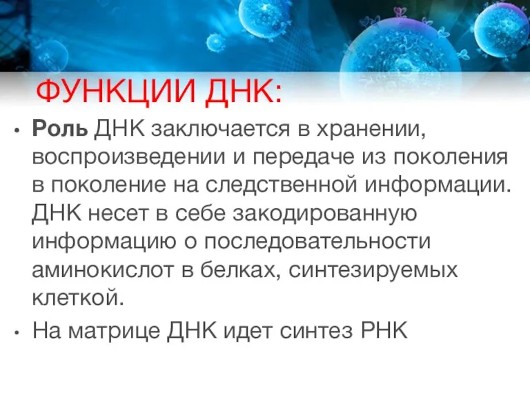 ФУНКЦИИ ДНК: Роль ДНК заключается в хранении, воспроизведении и передаче из поколения