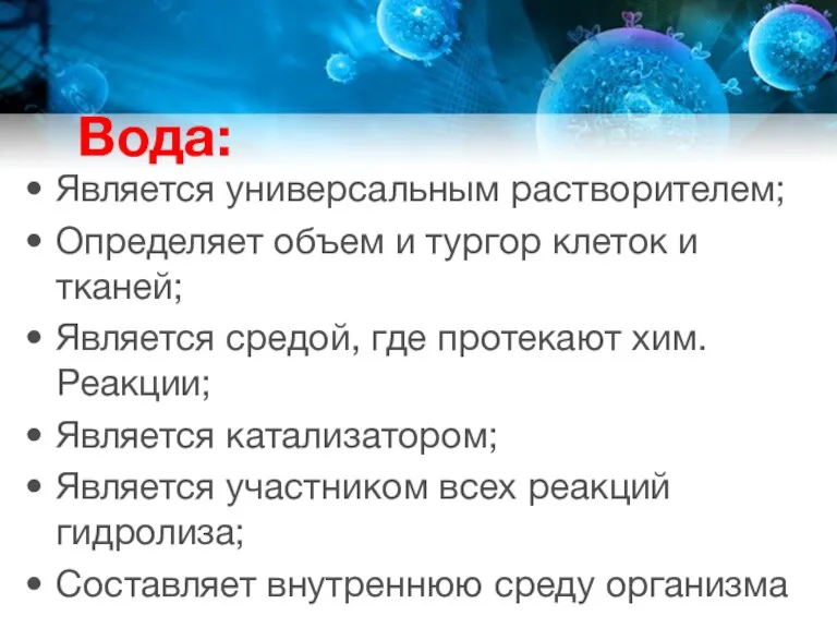 Вода: Является универсальным растворителем; Определяет объем и тургор клеток и тканей; Является