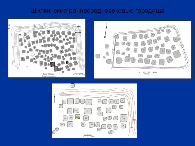 Шилкинские раннесредневековые городища