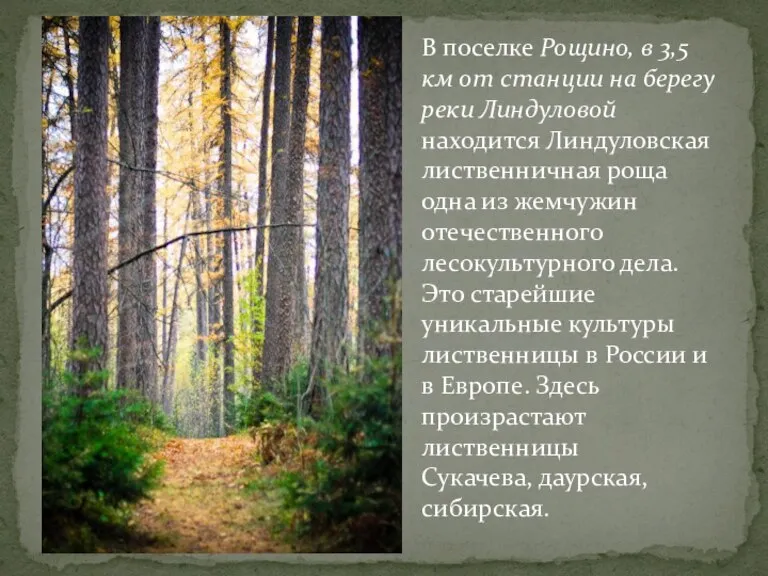 В поселке Рощино, в 3,5 км от станции на берегу реки Линдуловой