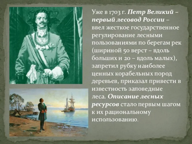 Уже в 1703 г. Петр Великий – первый лесовод России – ввел
