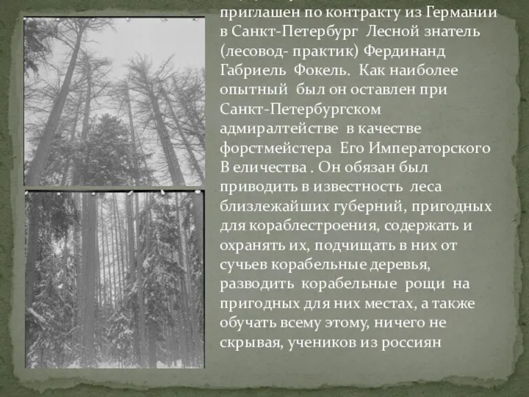 В 1727 году от 14 июня в Россию был приглашен по контракту