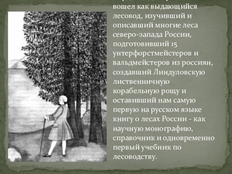 В отечественную историю Фердинанд Габриель Фокель вошел как выдающийся лесовод, изучивший и