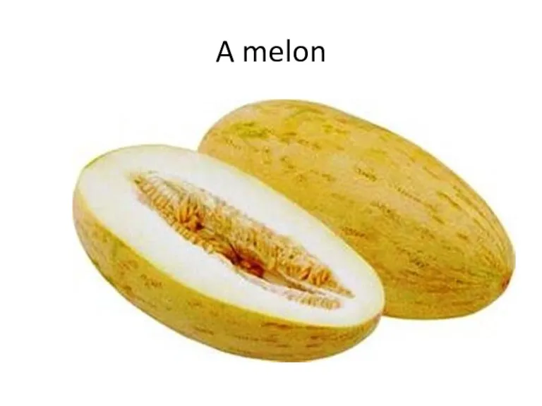 A melon