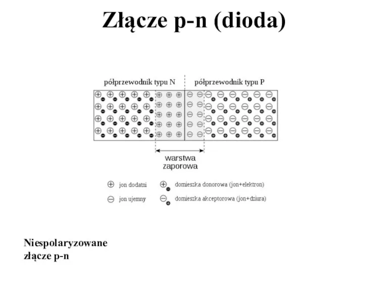 Złącze p-n (dioda) Niespolaryzowane złącze p-n