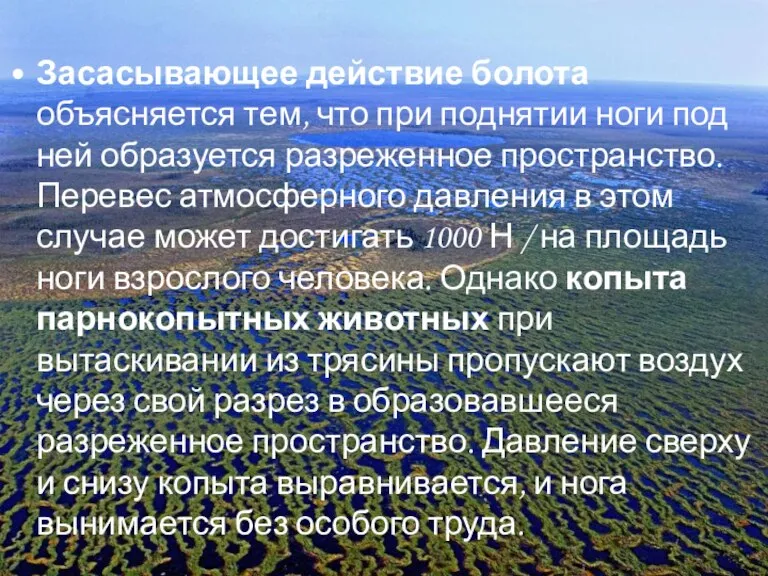 Засасывающее действие болота объясняется тем, что при поднятии ноги под ней образуется