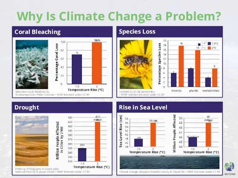 Why Is Climate Change a Problem?